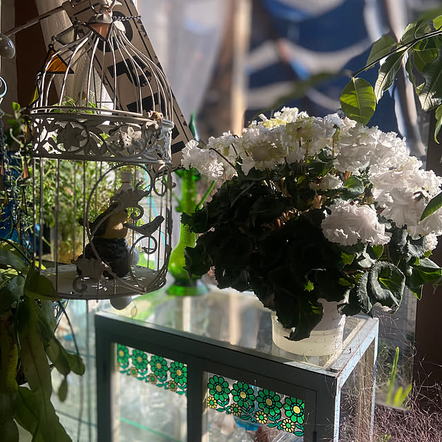 na-chanさんの実例写真