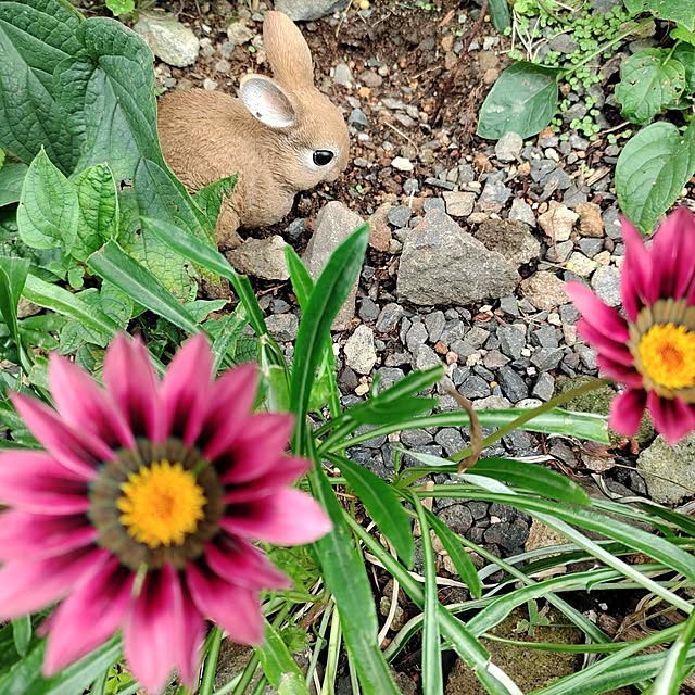 kiraさんの部屋