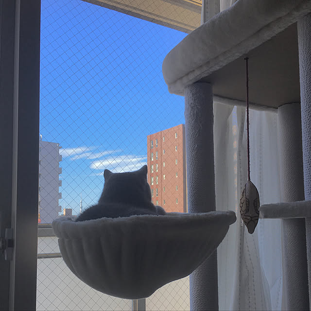 kittyさんの実例写真
