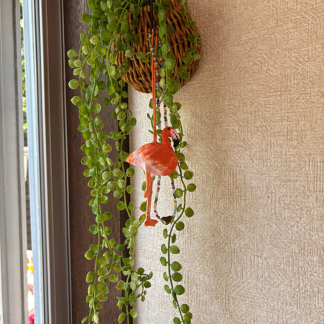 canetteさんの部屋