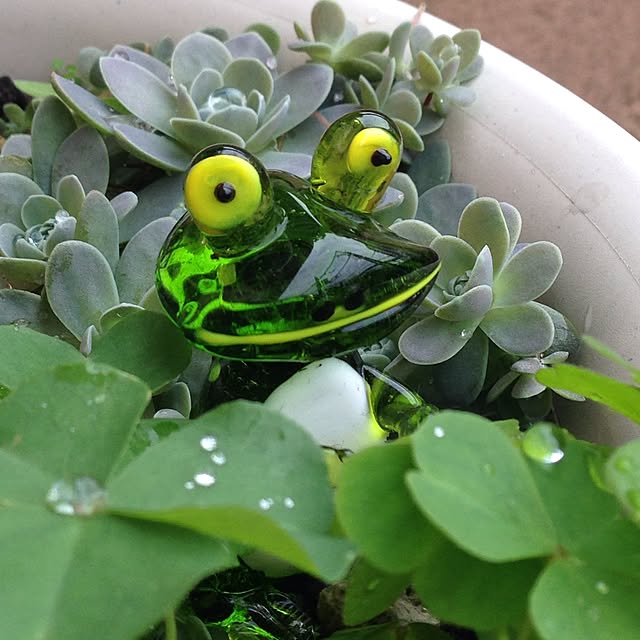 junjunjuさんの実例写真