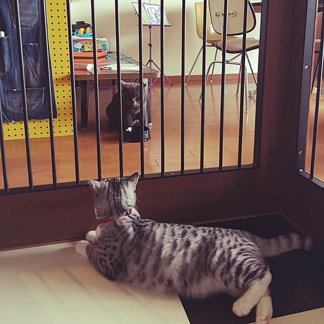 Shojiさんの実例写真