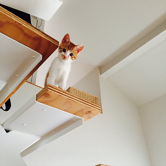 yuyushoさんの実例写真