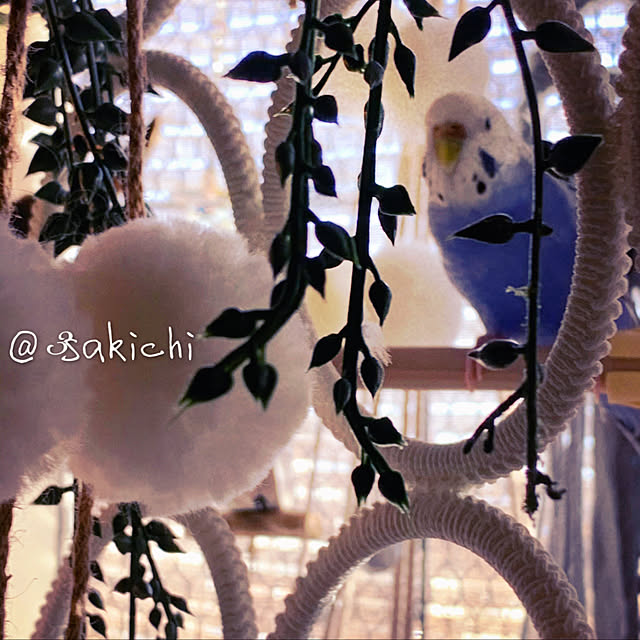 SAKICHIさんの実例写真