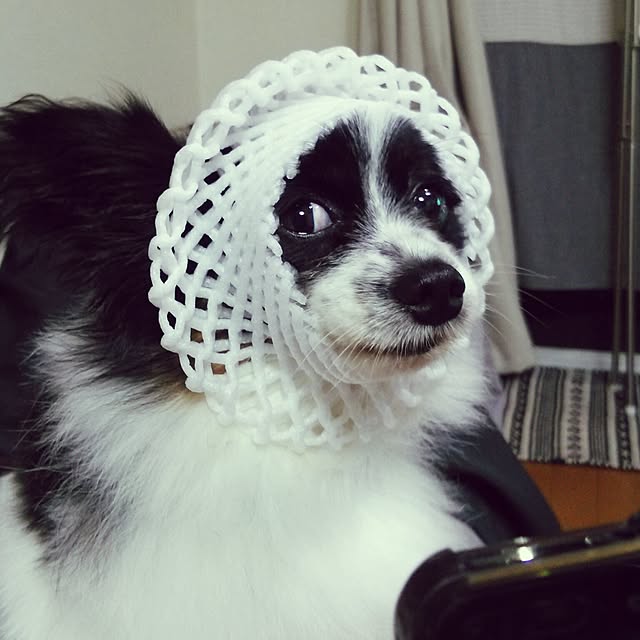 Smileberryさんの実例写真