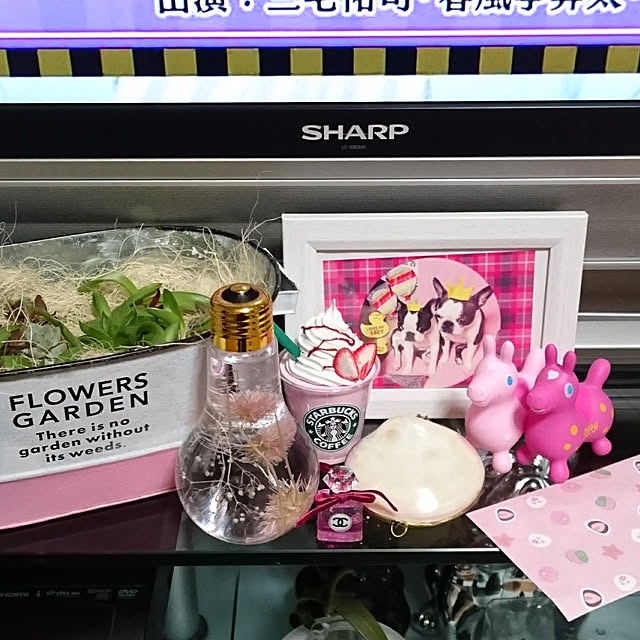 maiさんの実例写真