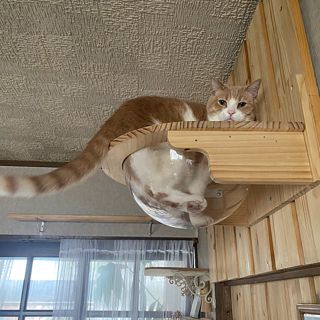 mintteaさんの部屋