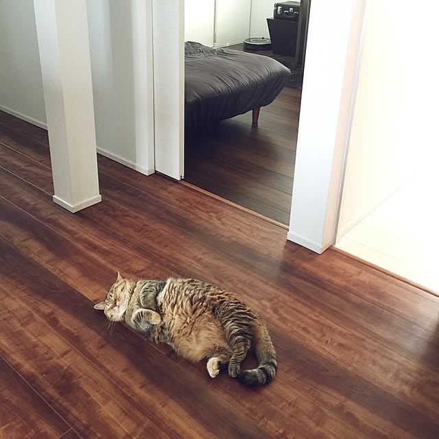 meloさんの実例写真