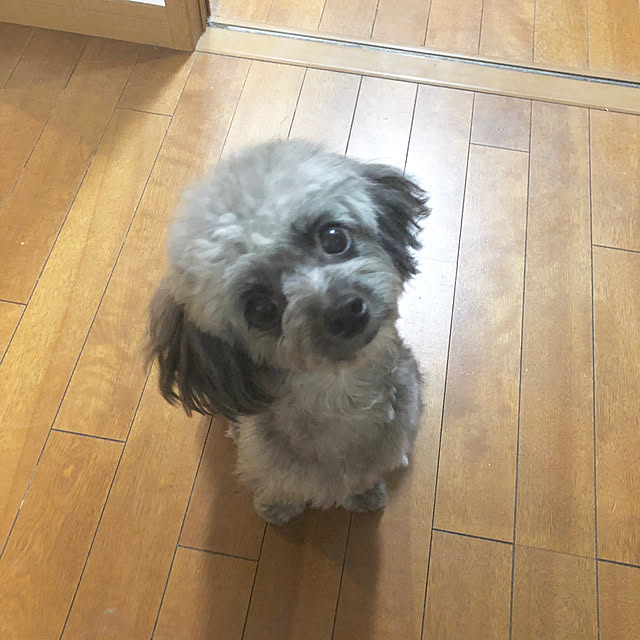 mirukuさんの実例写真