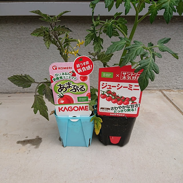 keitaさんの実例写真