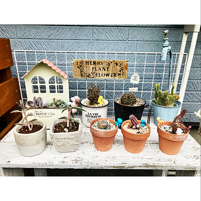CoCo0617さんの部屋