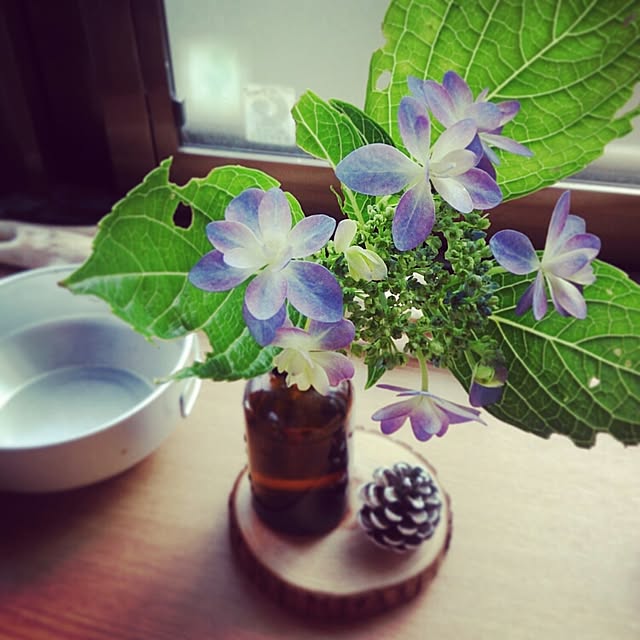 murasakihananaさんの実例写真