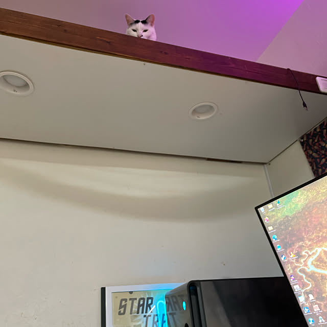 coolcats0528さんの実例写真