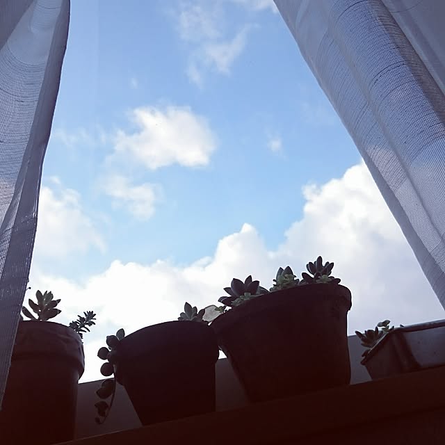 kuremaさんの実例写真