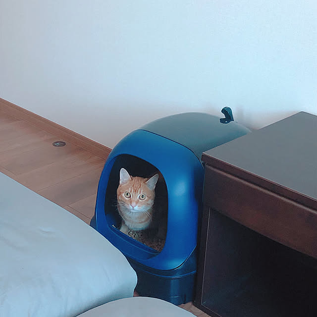 reo..m.aさんの実例写真