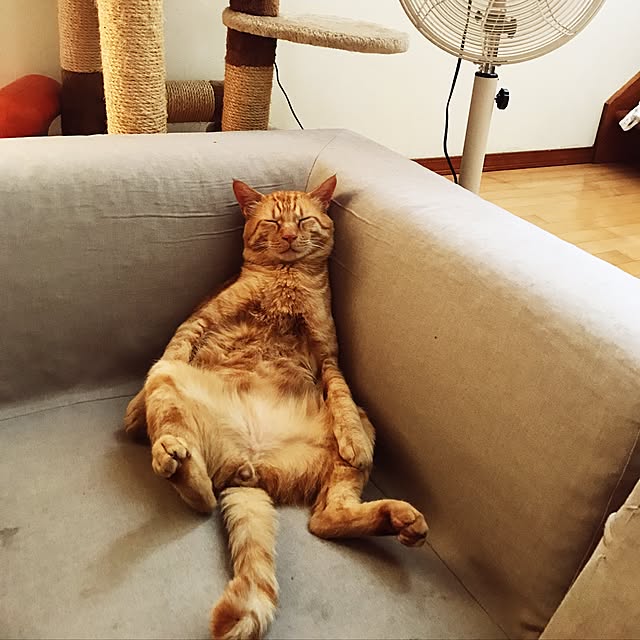 klaroomさんの実例写真