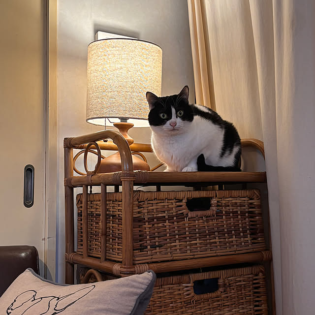 buntamaさんの部屋