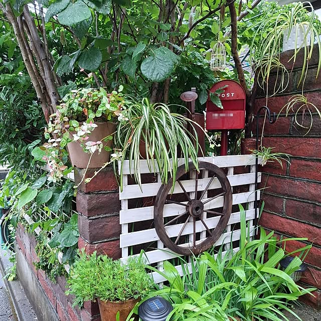 midoriさんの部屋