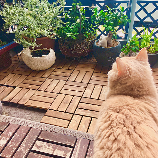 naokoさんの実例写真