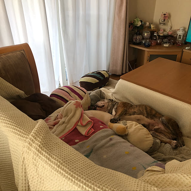 chi_gogaさんの実例写真