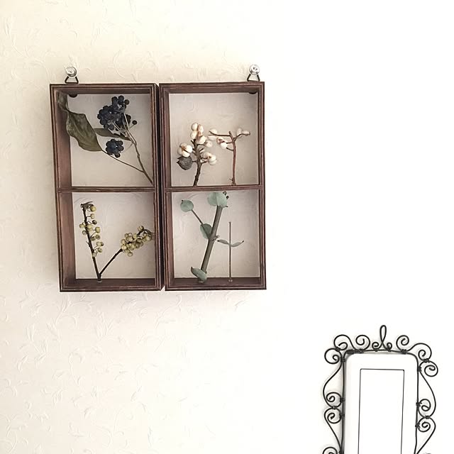momonaさんの実例写真