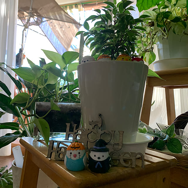 Aqettyさんの部屋