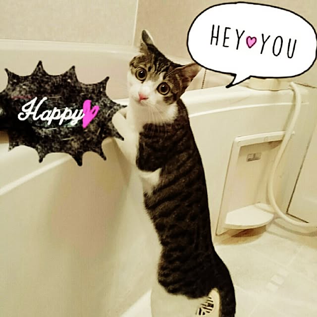 kiraさんの実例写真