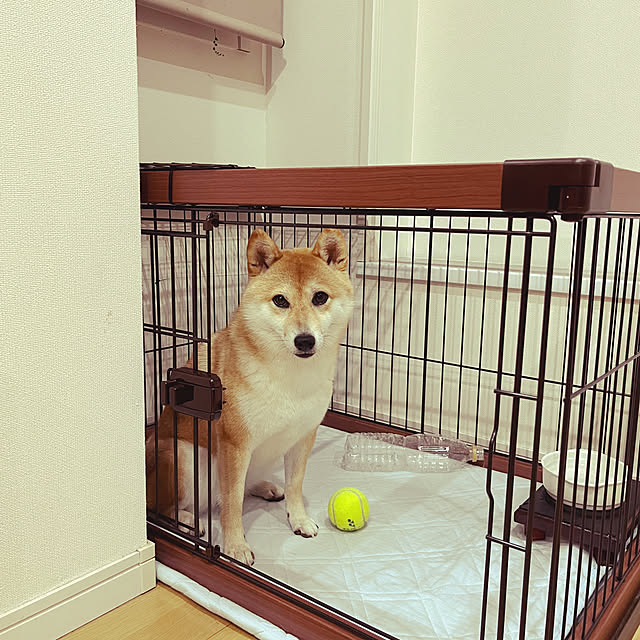 dmamaさんの部屋