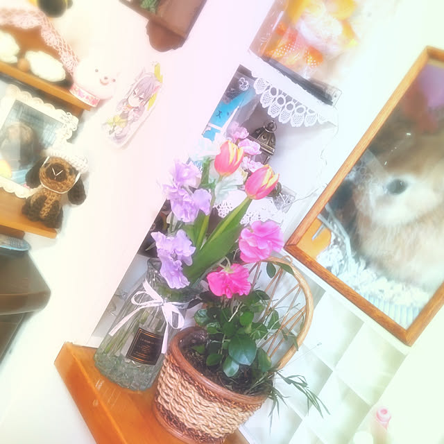 mariaさんの実例写真