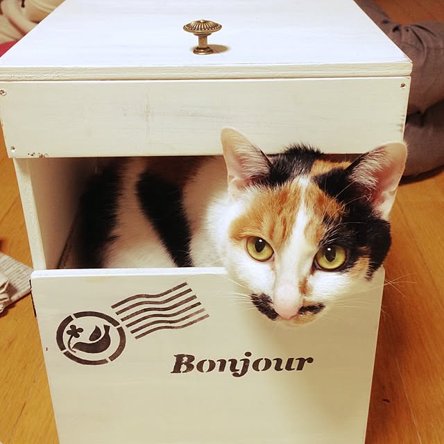 Kinanさんの実例写真