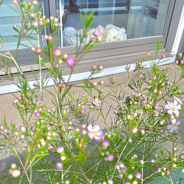 KLさんの部屋