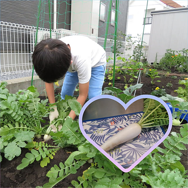 haruharuさんの実例写真