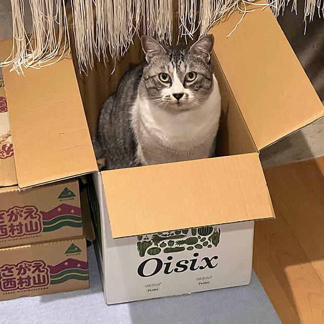 seireiさんの実例写真