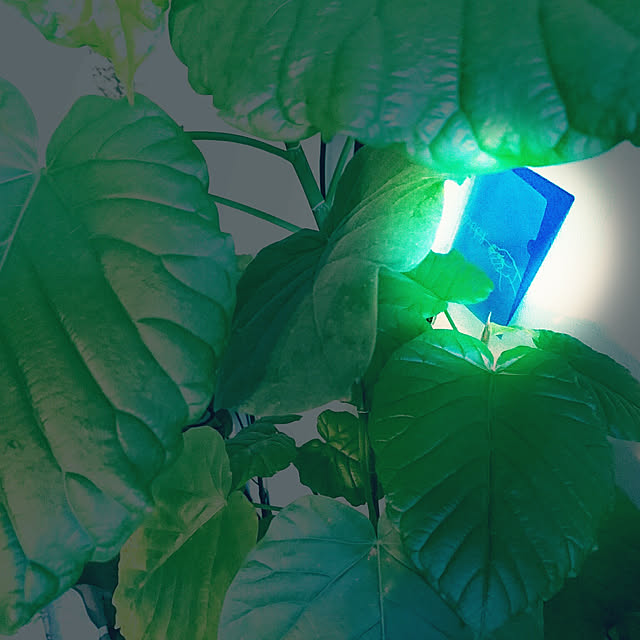 s.p.sunaoさんの実例写真