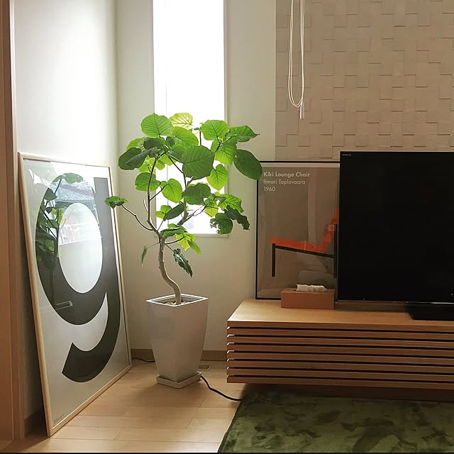 takeboo3さんの実例写真