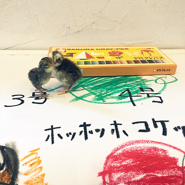 unataroさんの実例写真