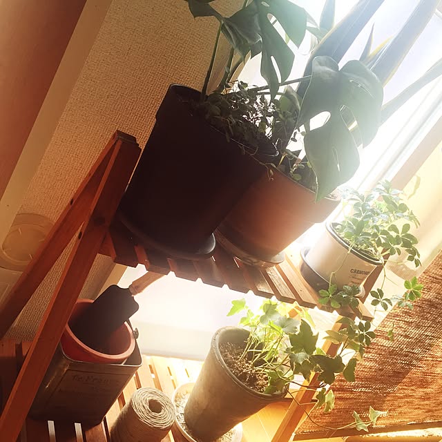 malaikaさんの実例写真