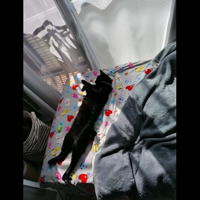 Tさんの実例写真