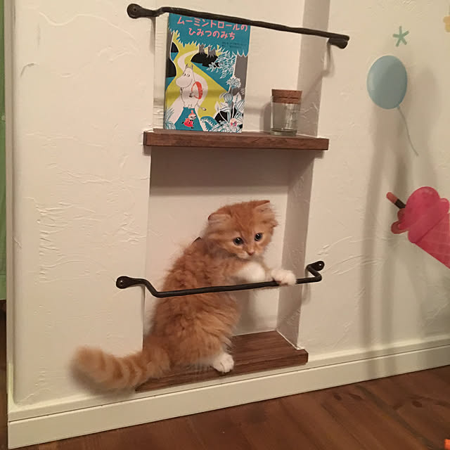 PIYOLANDさんの実例写真