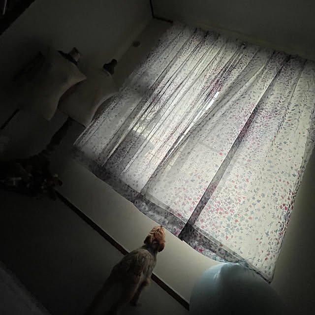 satomitakuさんの実例写真
