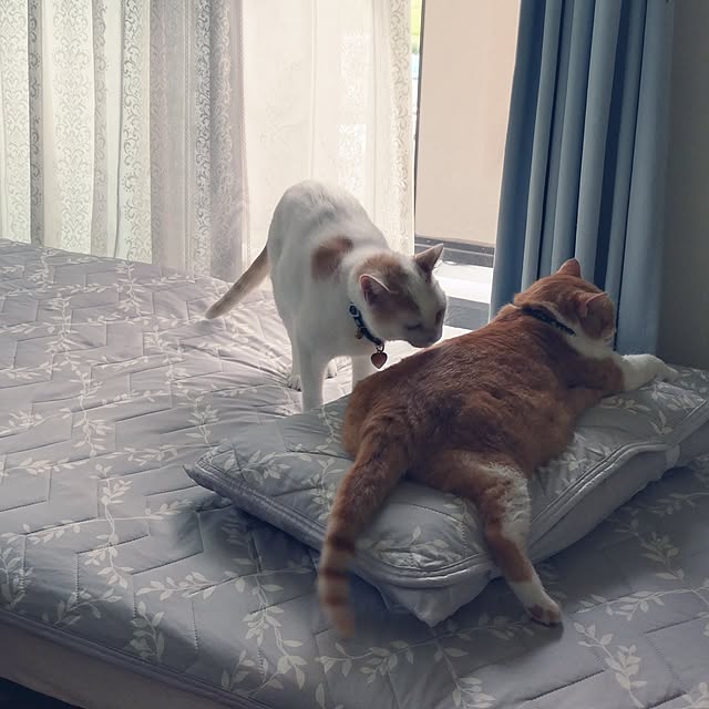 NOAHさんの部屋