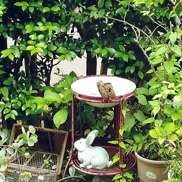 showさんの実例写真