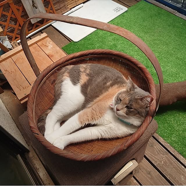 fukuさんの部屋