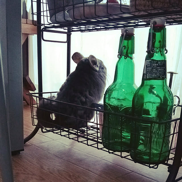 sakusakuさんの実例写真