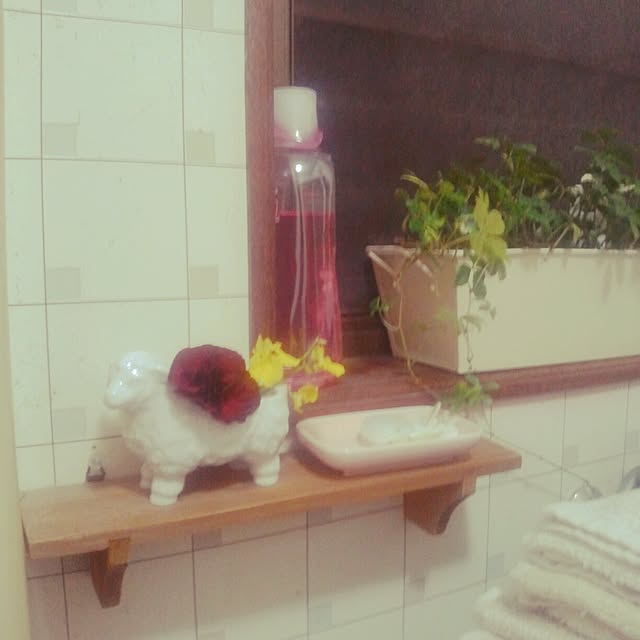snowさんの実例写真