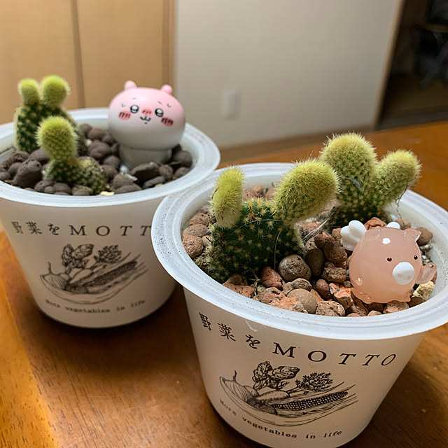 hiroさんの実例写真