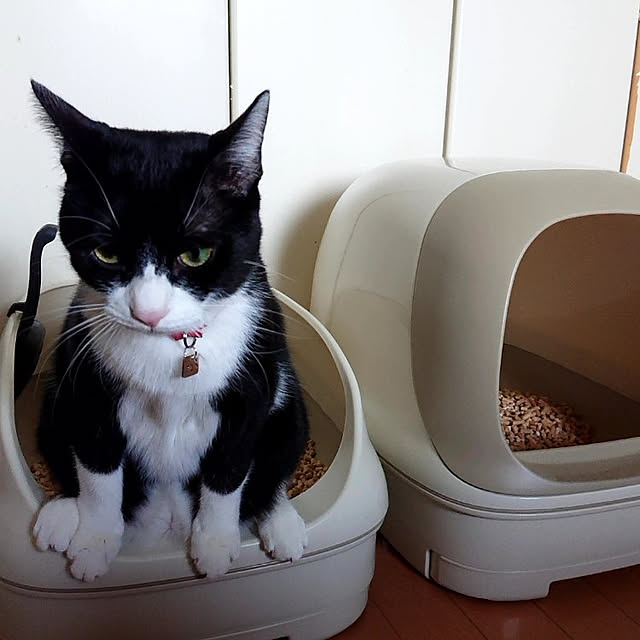 karinさんの実例写真