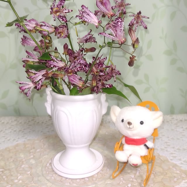 katさんの実例写真