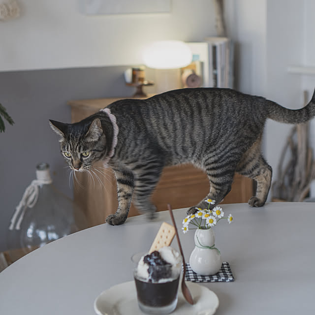 oliveさんの部屋