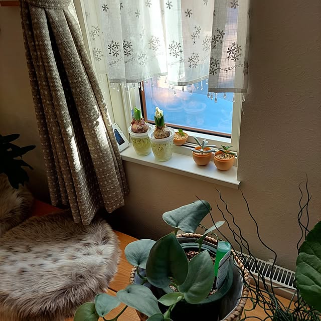 heyasukiさんの実例写真